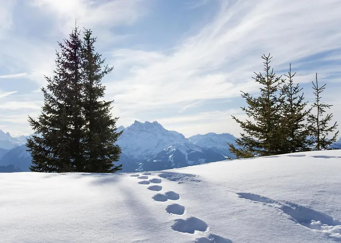 Armorial Ii - 6 By Interhome Apartment